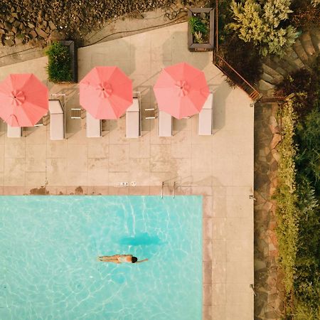 Sagecliffe Resort & Spa George Esterno foto